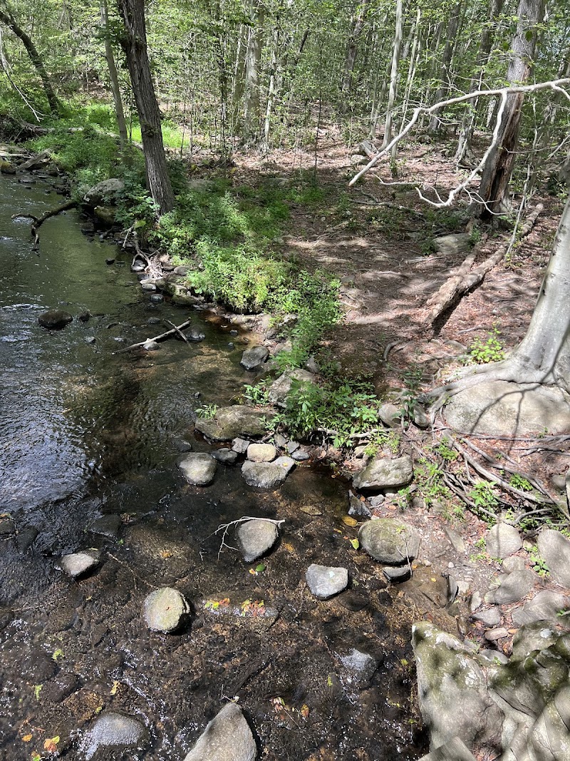 Lake Mohegan Recreational Area photo 3