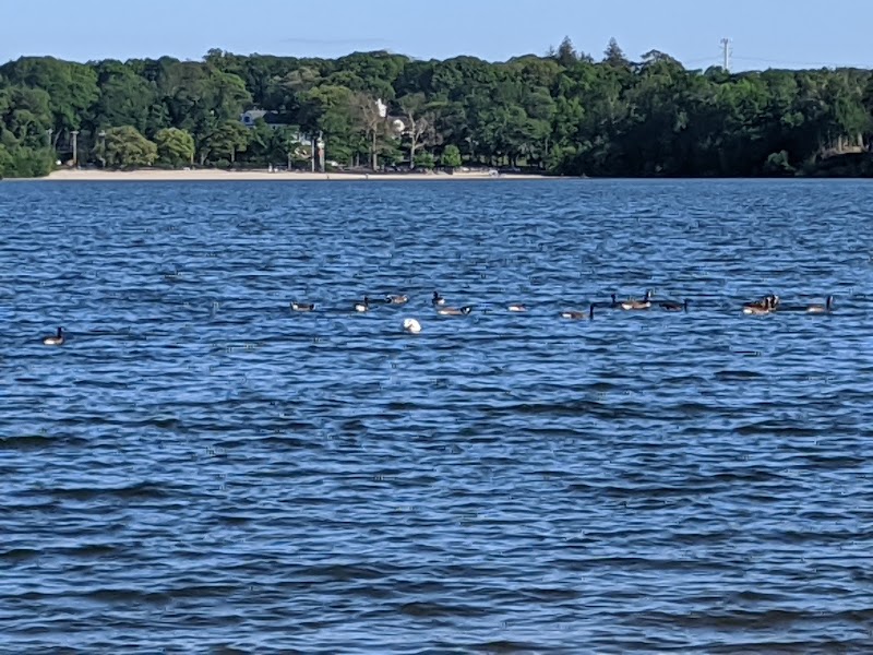 Lake Ronkonkoma County Park Home of Syag Sports photo 4