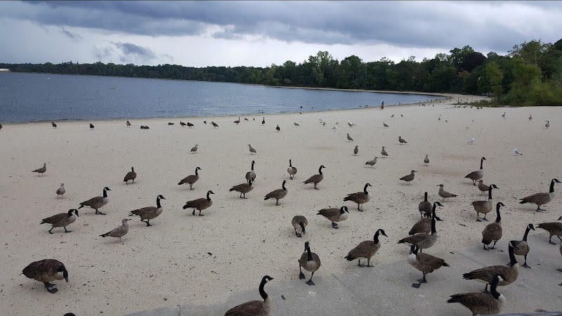 Lake Ronkonkoma County Park Home of Syag Sports photo 5