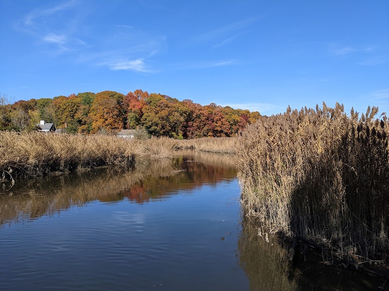 Landing Avenue Park photo 3