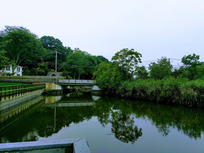 Landing Avenue Park photo 5