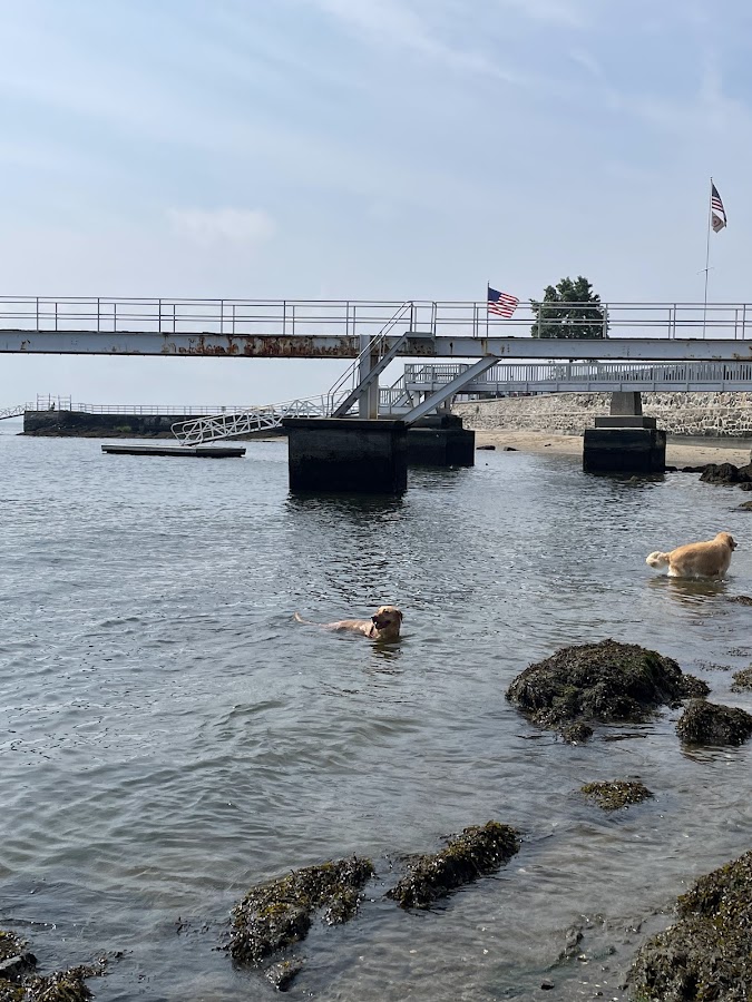 Larchmont Dog Beach photo 4
