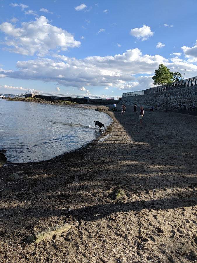 Larchmont Dog Beach photo 5