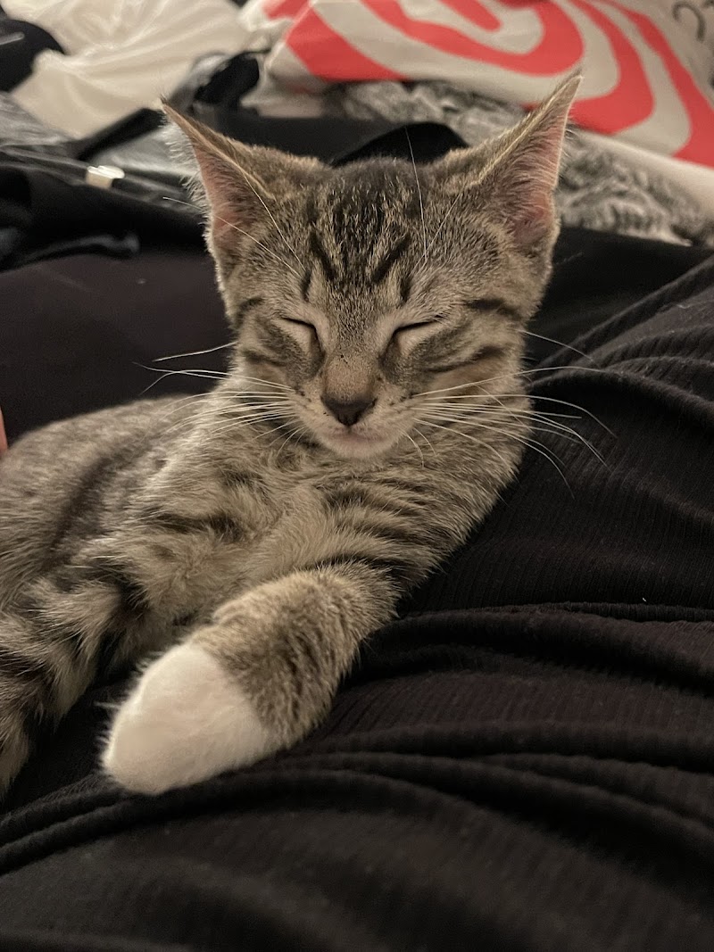 Last Hope, Inc. Animal Rescue & Rehabilitation photo 2