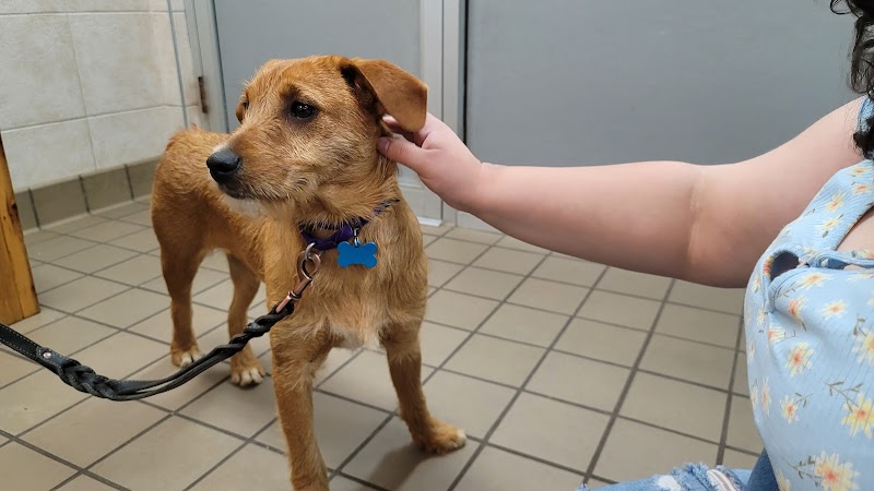 Last Hope, Inc. Animal Rescue & Rehabilitation photo 4