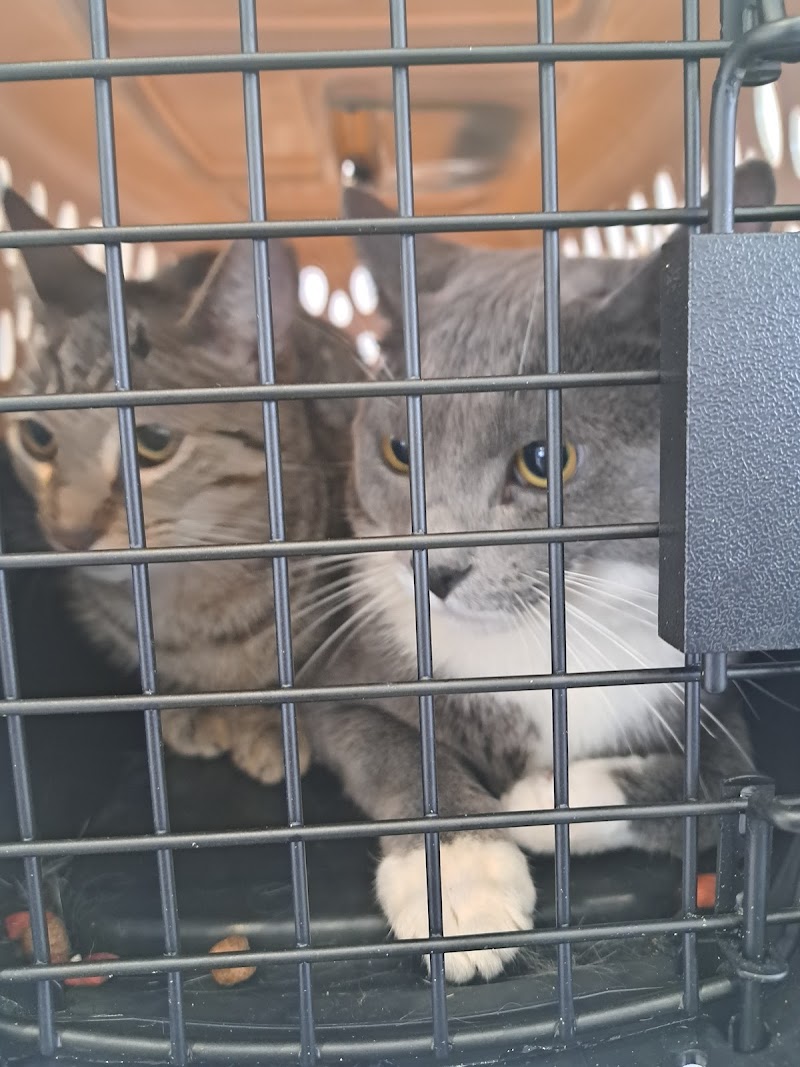 Last Hope, Inc. Animal Rescue & Rehabilitation photo 5