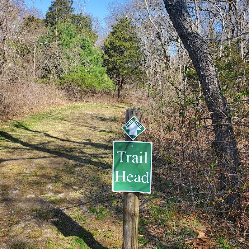 Laurel Lake Preserve photo 2