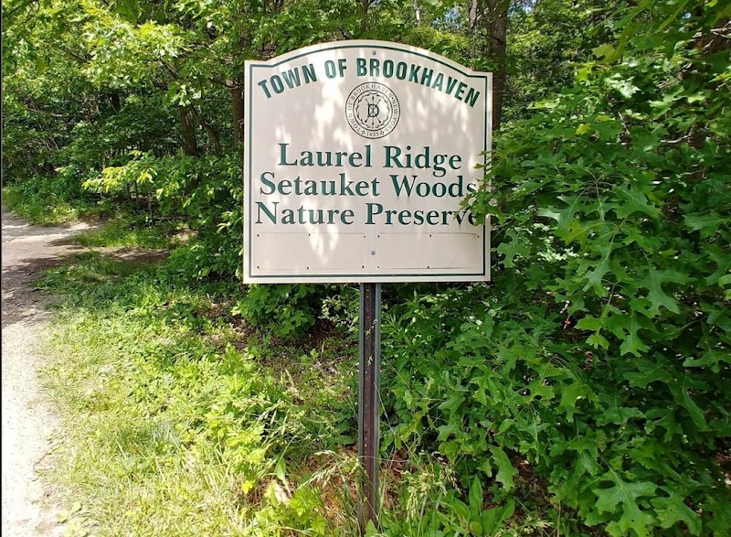 Laurel Ridge Setauket Woods Nature Preserve photo 1