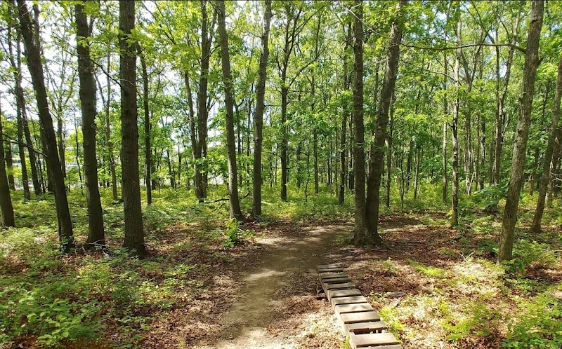 Laurel Ridge Setauket Woods Nature Preserve photo 2