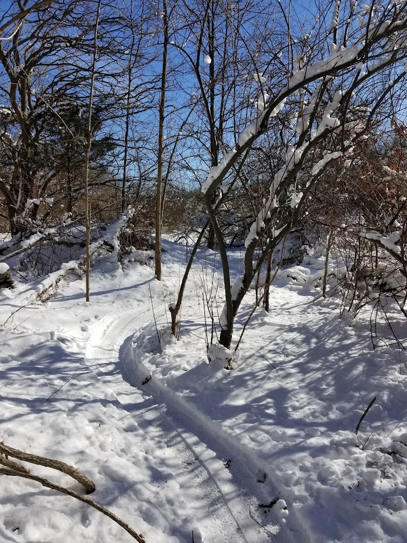 Laurel Ridge Setauket Woods Nature Preserve photo 5