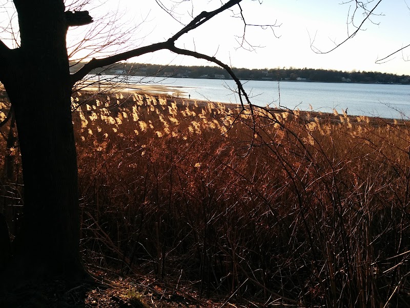 Leeds Pond Preserve photo 5