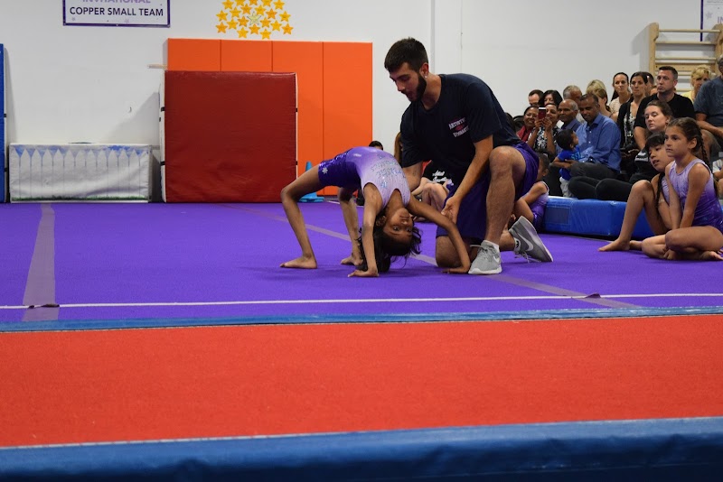 Levels Gymnastics photo 2