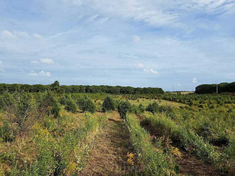 Lewin Farms U-Pick photo 3