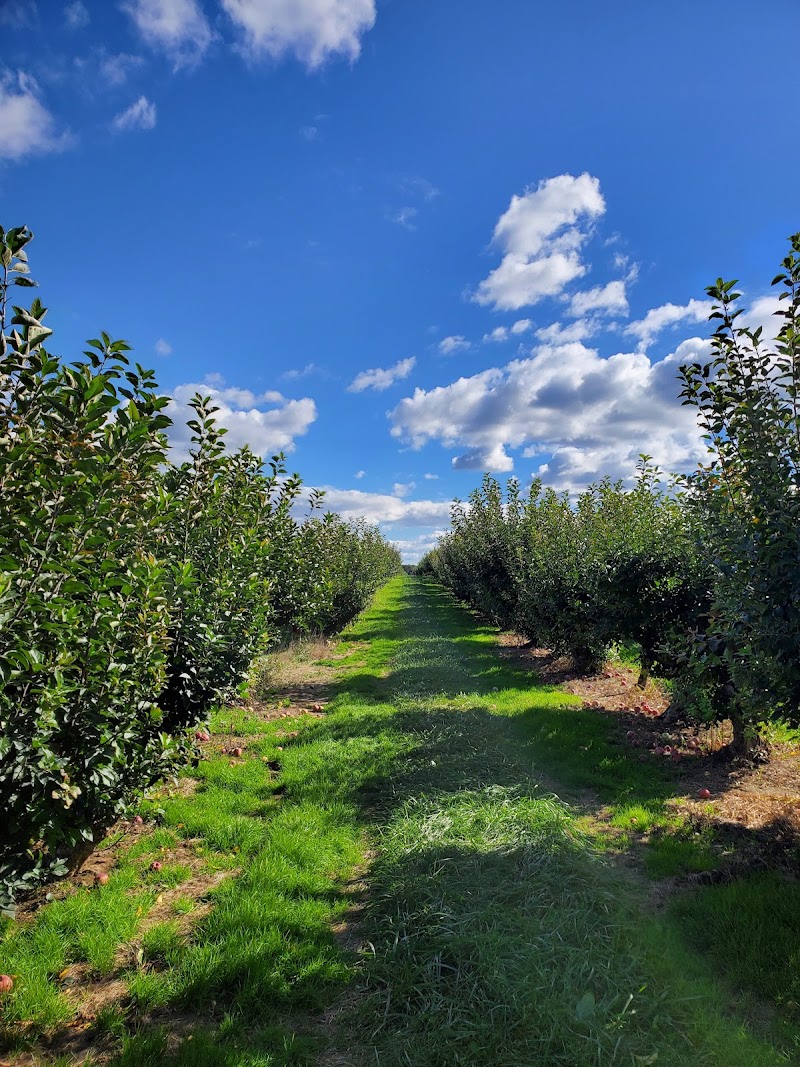 Lewin Farms U-Pick photo 4