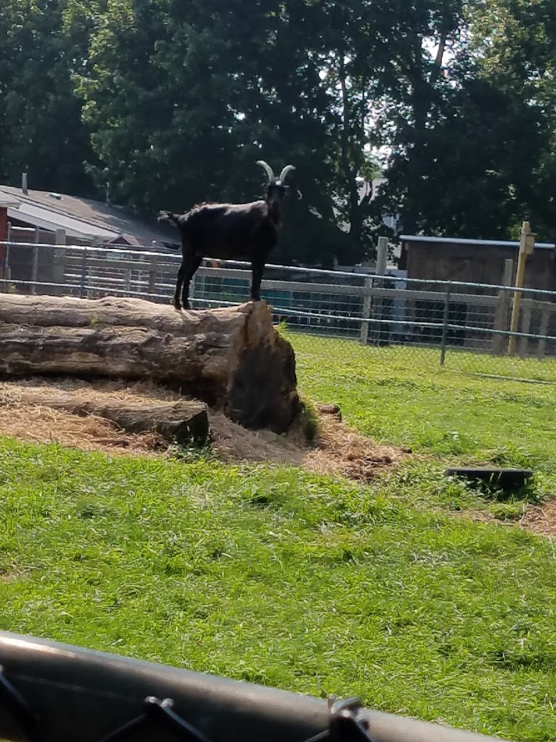 Lewis Oliver Farm Sanctuary photo 4