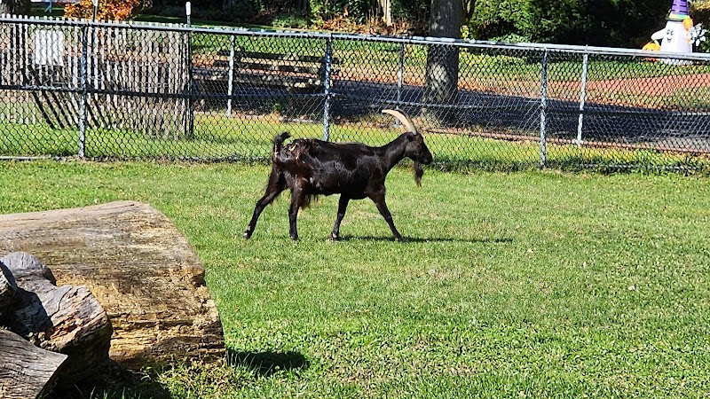 Lewis Oliver Farm Sanctuary photo 5