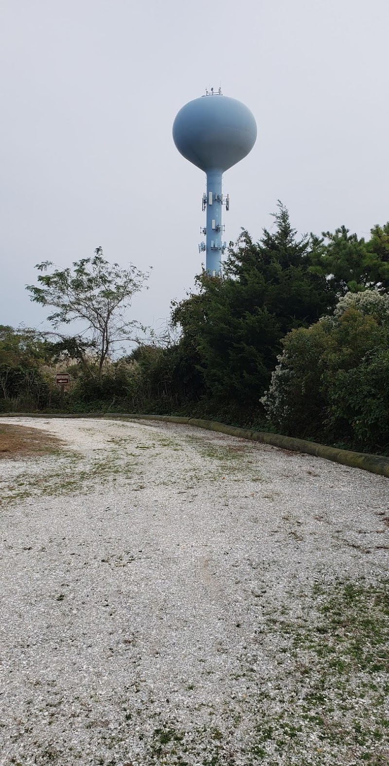 Lido Beach Passive Nature Area photo 1
