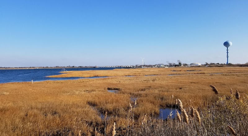 Lido Beach Passive Nature Area photo 2