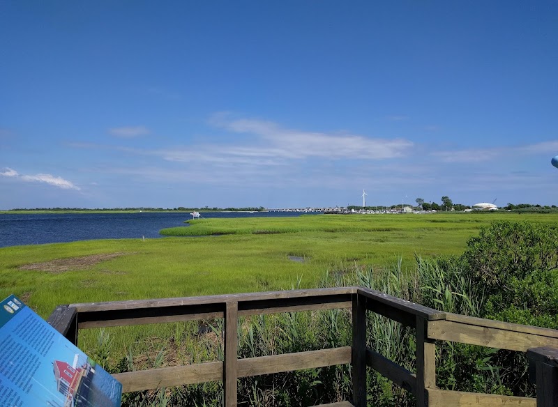 Lido Beach Passive Nature Area photo 3