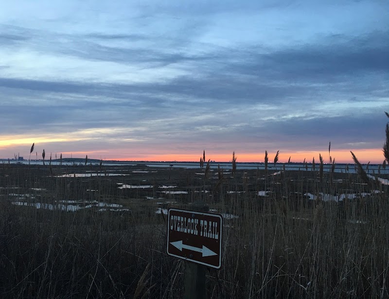 Lido Beach Passive Nature Area photo 4