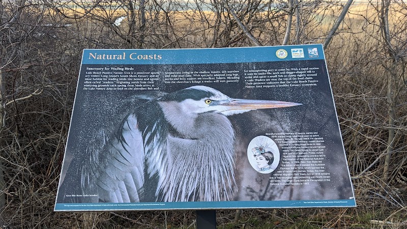 Lido Beach Passive Nature Area photo 5