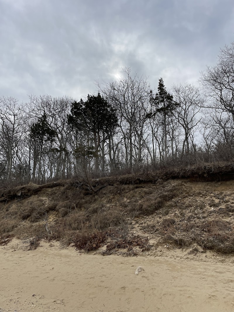 Linda Gronlund Memorial Nature Preserve photo 2
