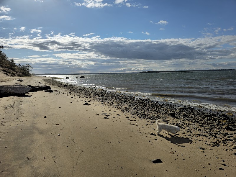 Linda Gronlund Memorial Nature Preserve photo 3