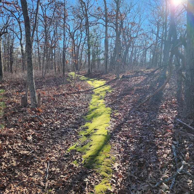 Linda Gronlund Memorial Nature Preserve photo 4