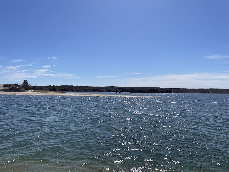 Linda Gronlund Memorial Nature Preserve photo 5