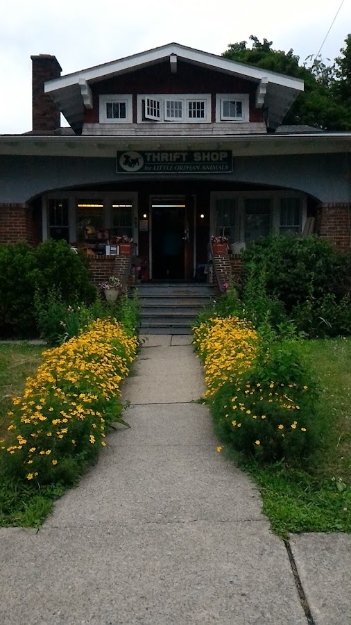 Little Orphan Animals Inc photo 3