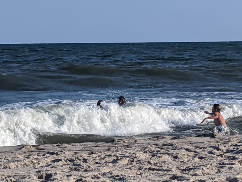 Little Plains Beach photo 5