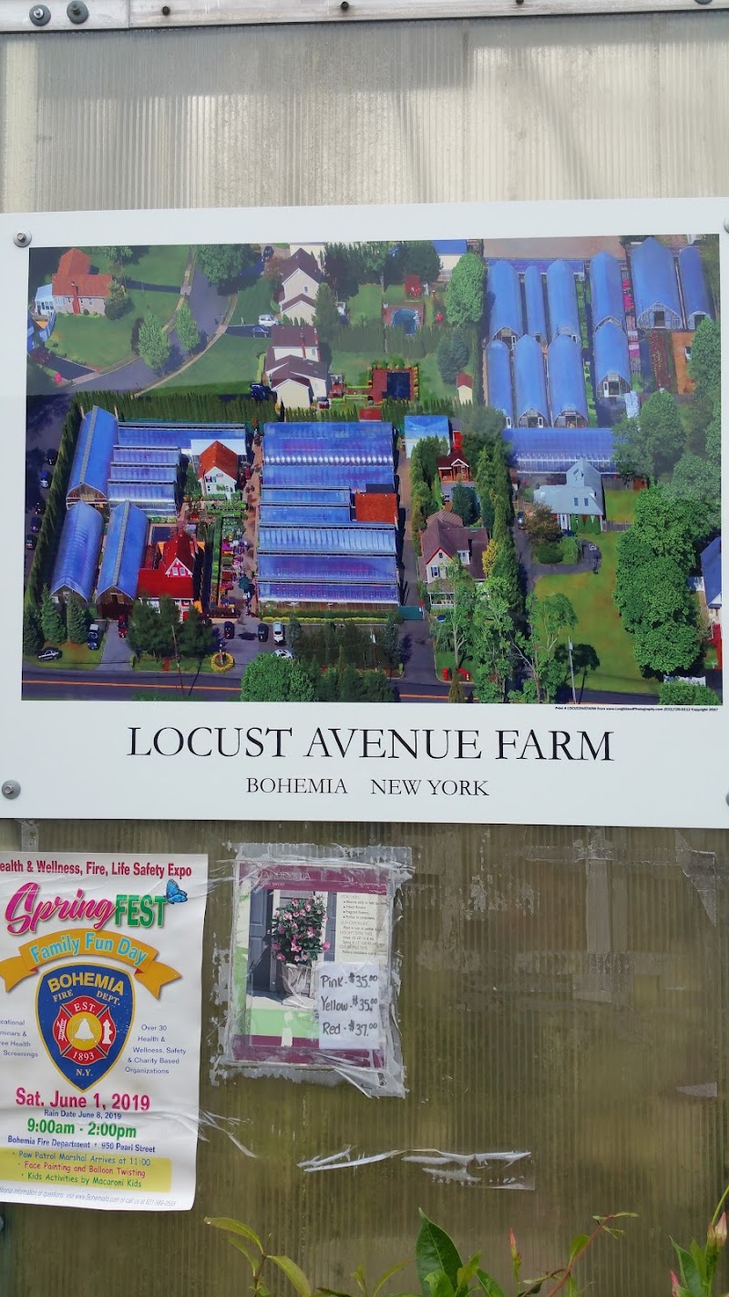 Locust Avenue Farm Inc photo 3