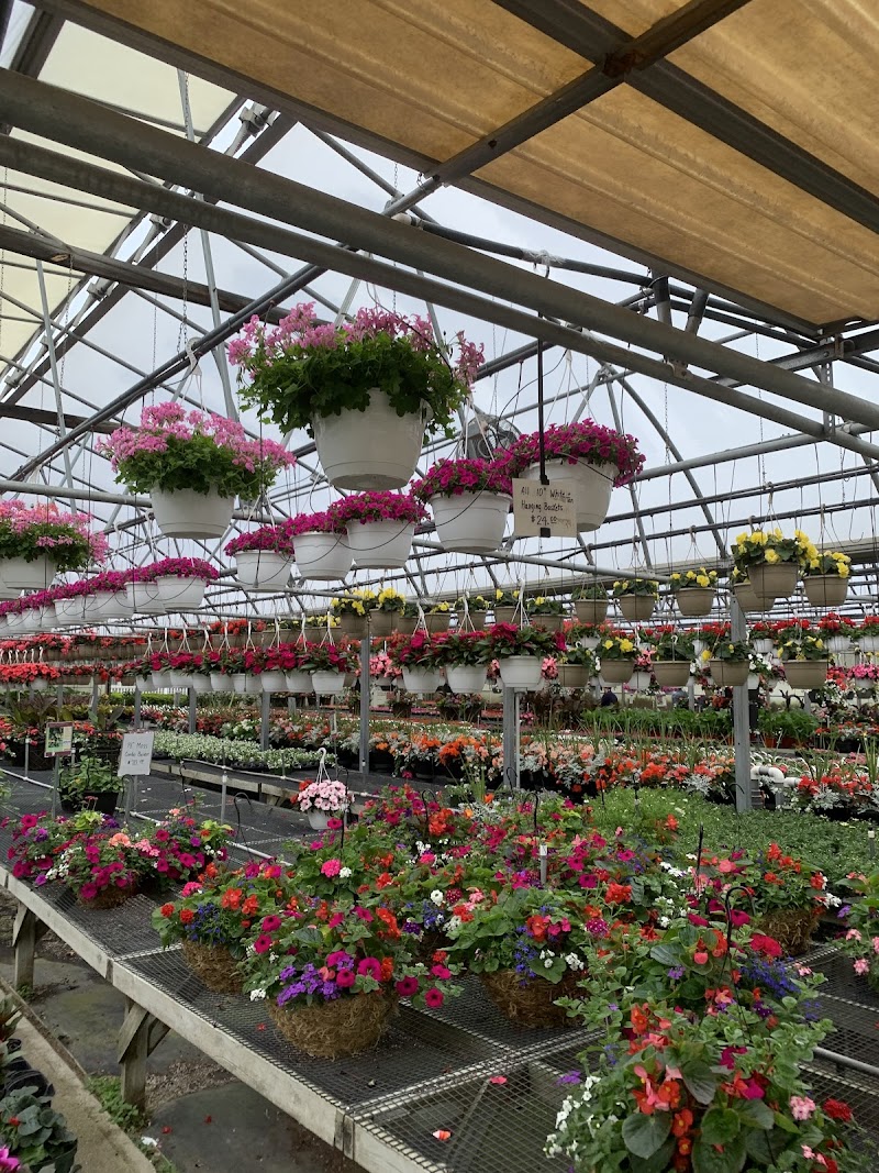 Locust Avenue Farm Inc photo 4