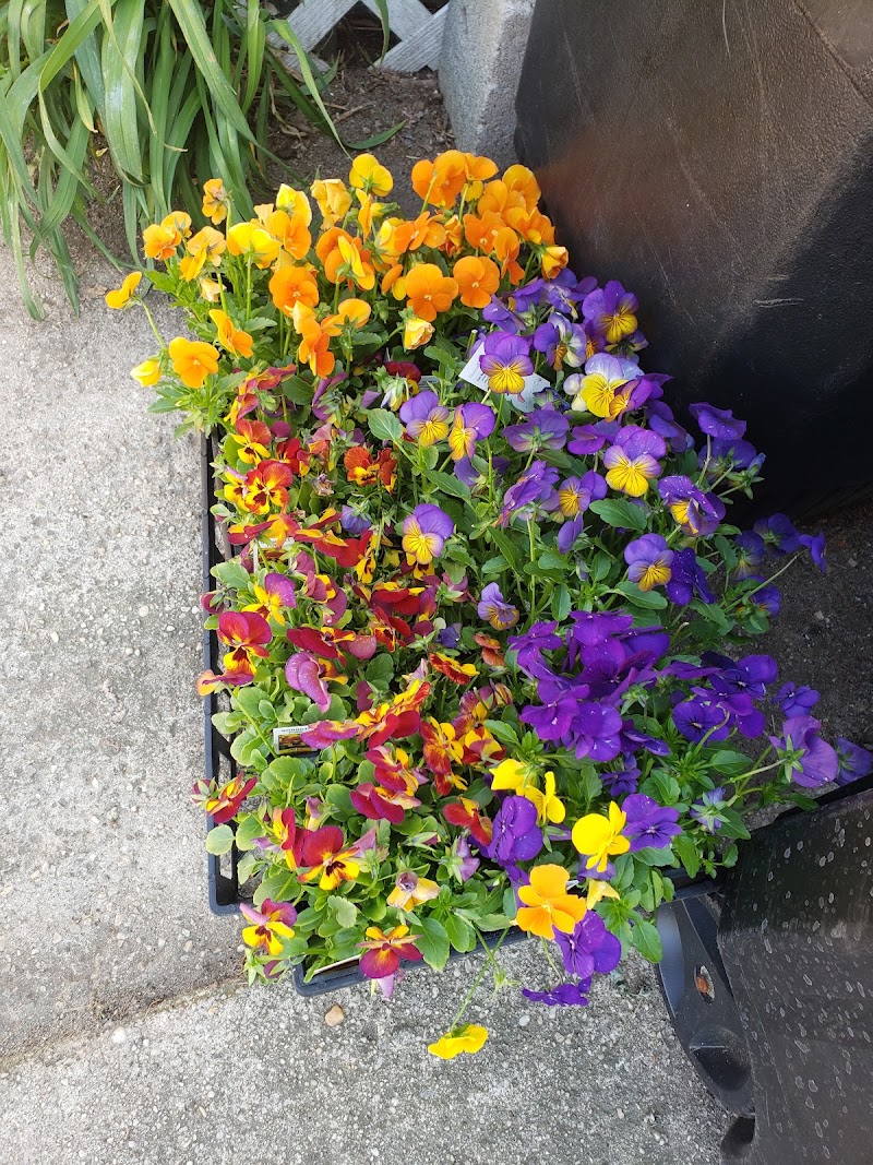 Locust Avenue Farm Inc photo 5