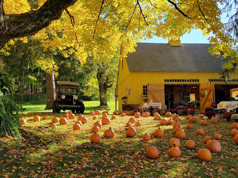 Locust Grove Fruit Farm photo 2