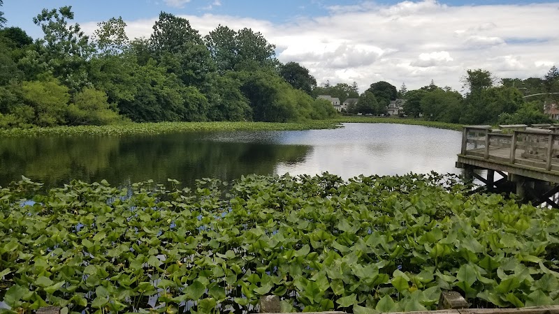 Lofts Pond Park photo 3