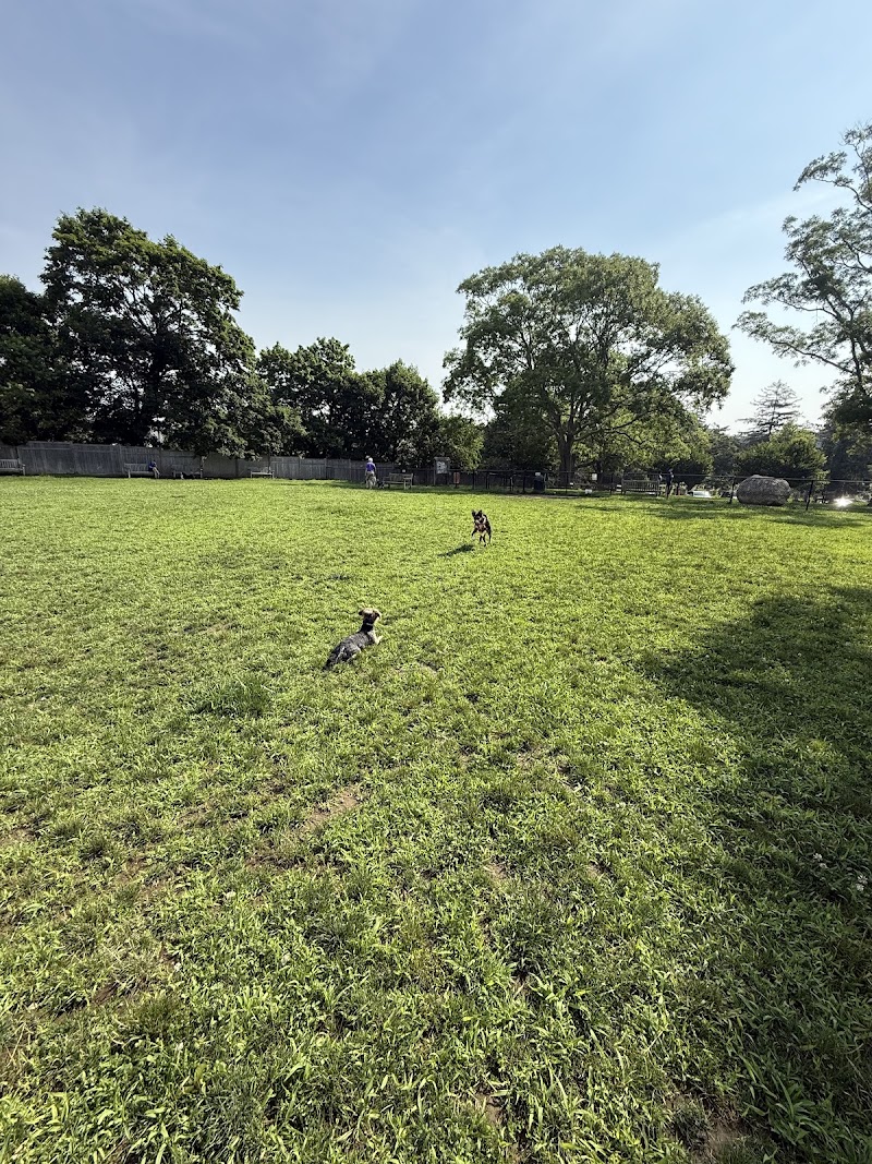 Lola Prentice Memorial Dog Park photo 1