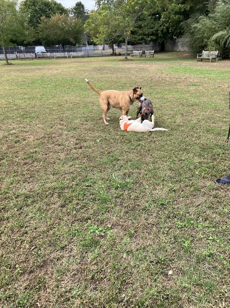 Lola Prentice Memorial Dog Park photo 2