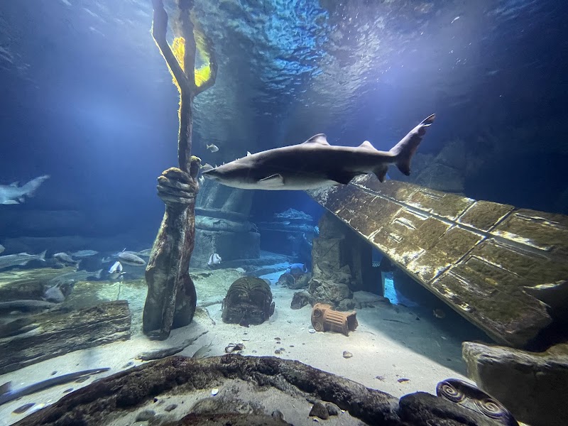 Long Island Aquarium photo 3