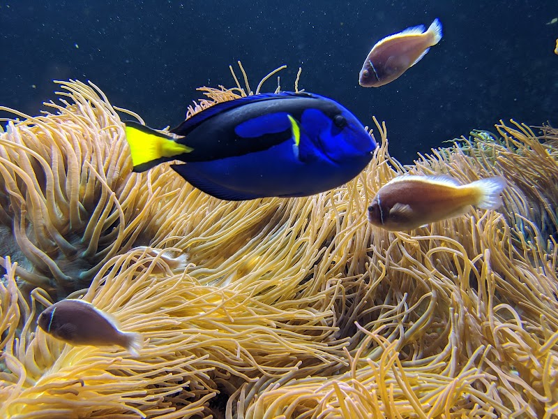 Long Island Aquarium photo 5