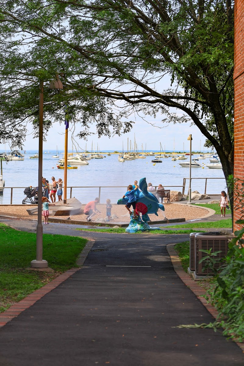 Long Island Explorium photo 5