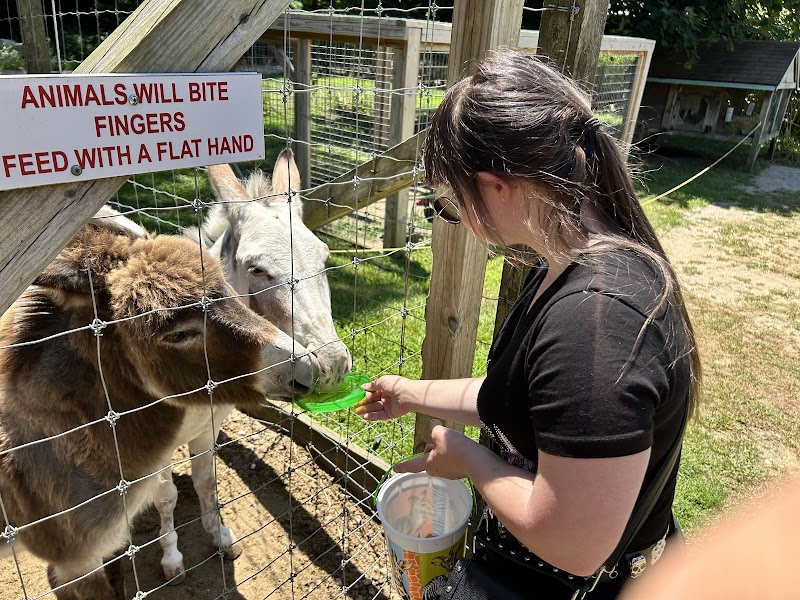 Long Island Game Farm Wildlife Park photo 5