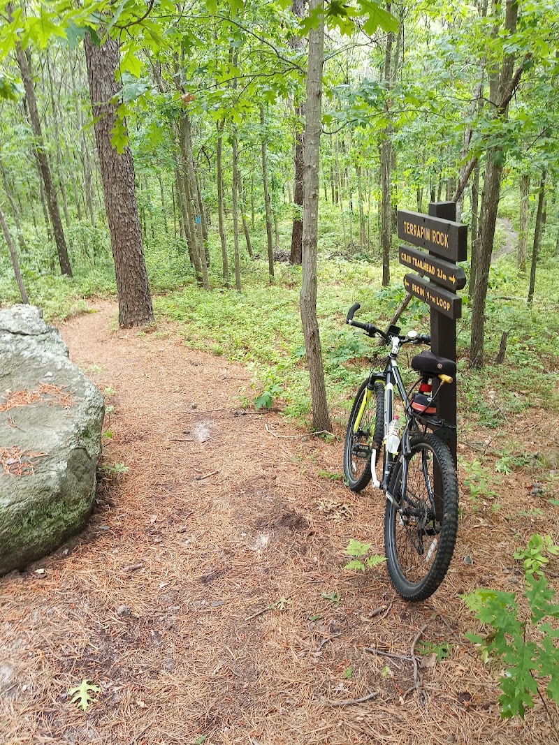 Long Island State Pine Barrens Preserve photo 4