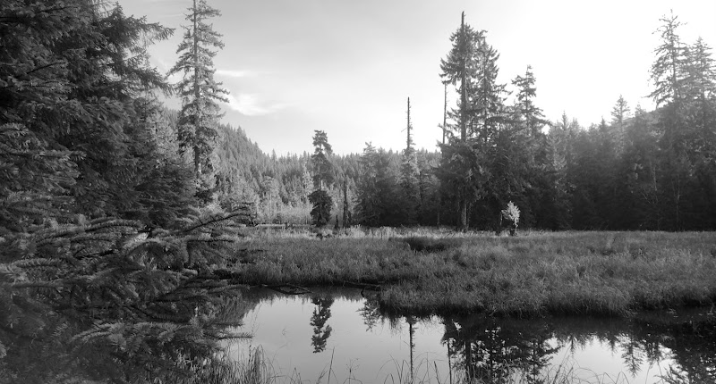 Loomacres Wildlife Management photo 1