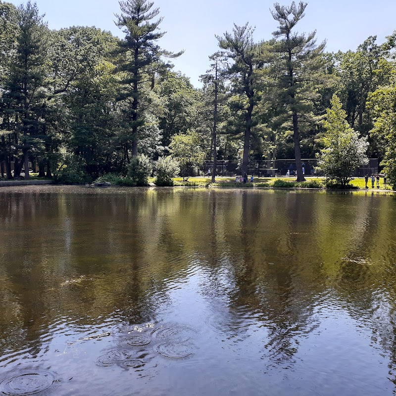 Lt Owen Fish Park photo 3