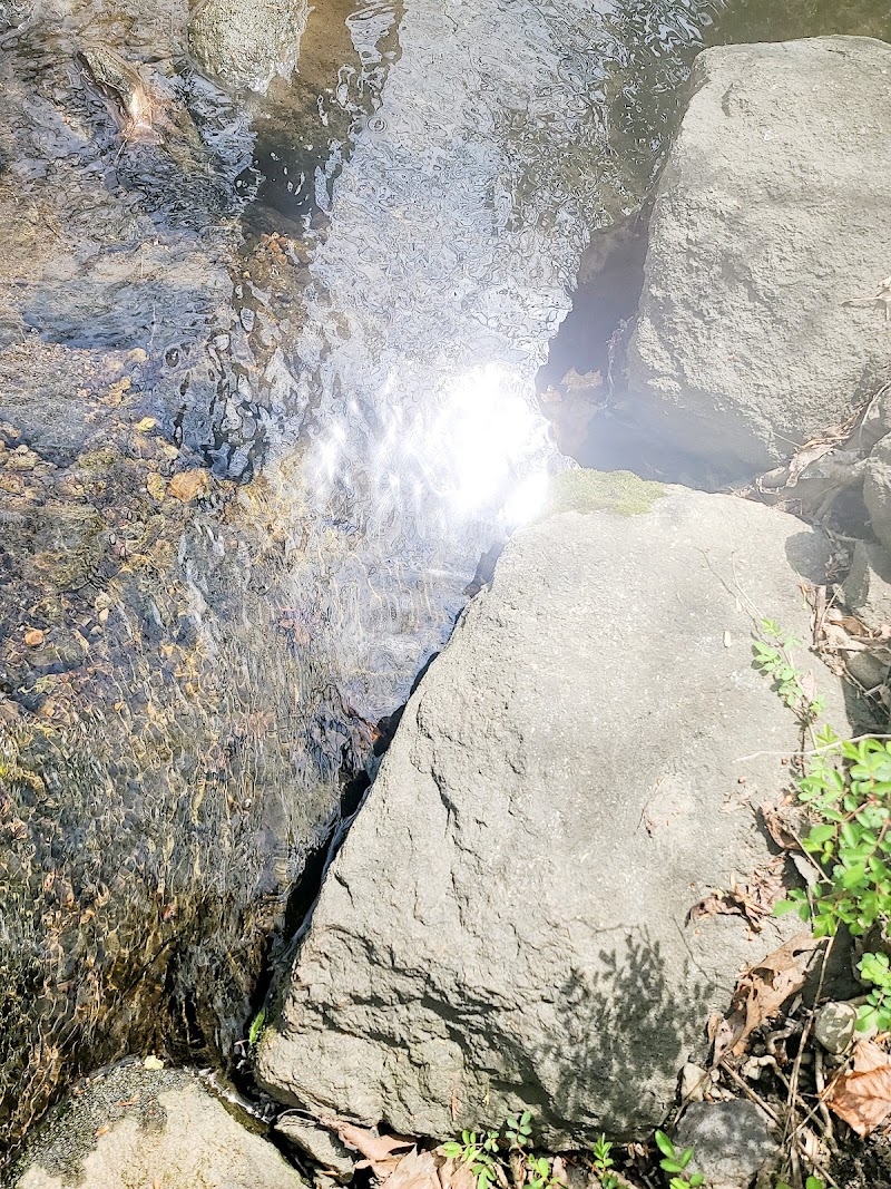 Lt Owen Fish Park photo 5