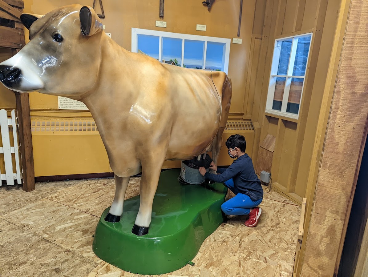 Lutz Children's Museum photo 4