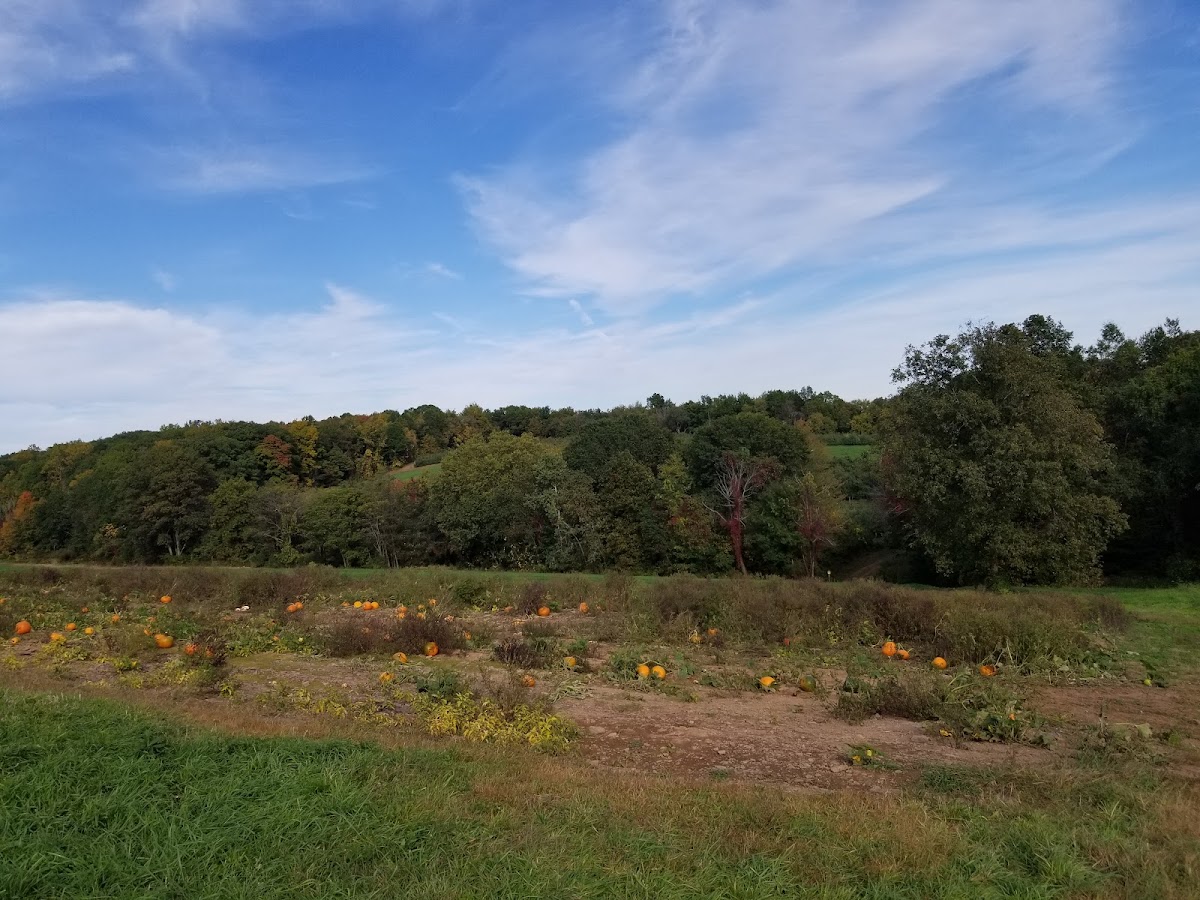 Lyman Orchards photo 2