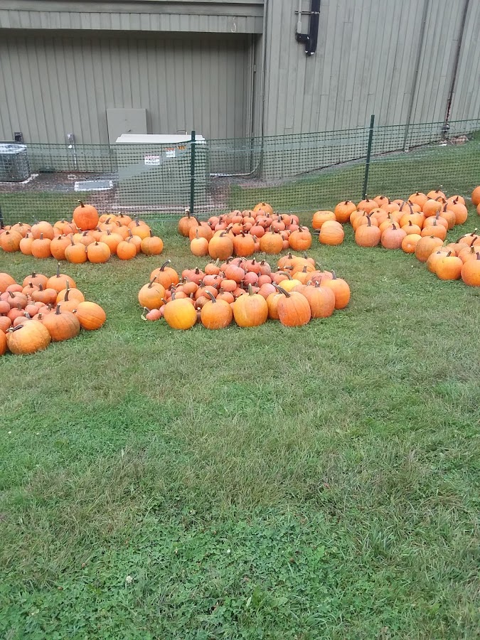 Lyman Orchards photo 4