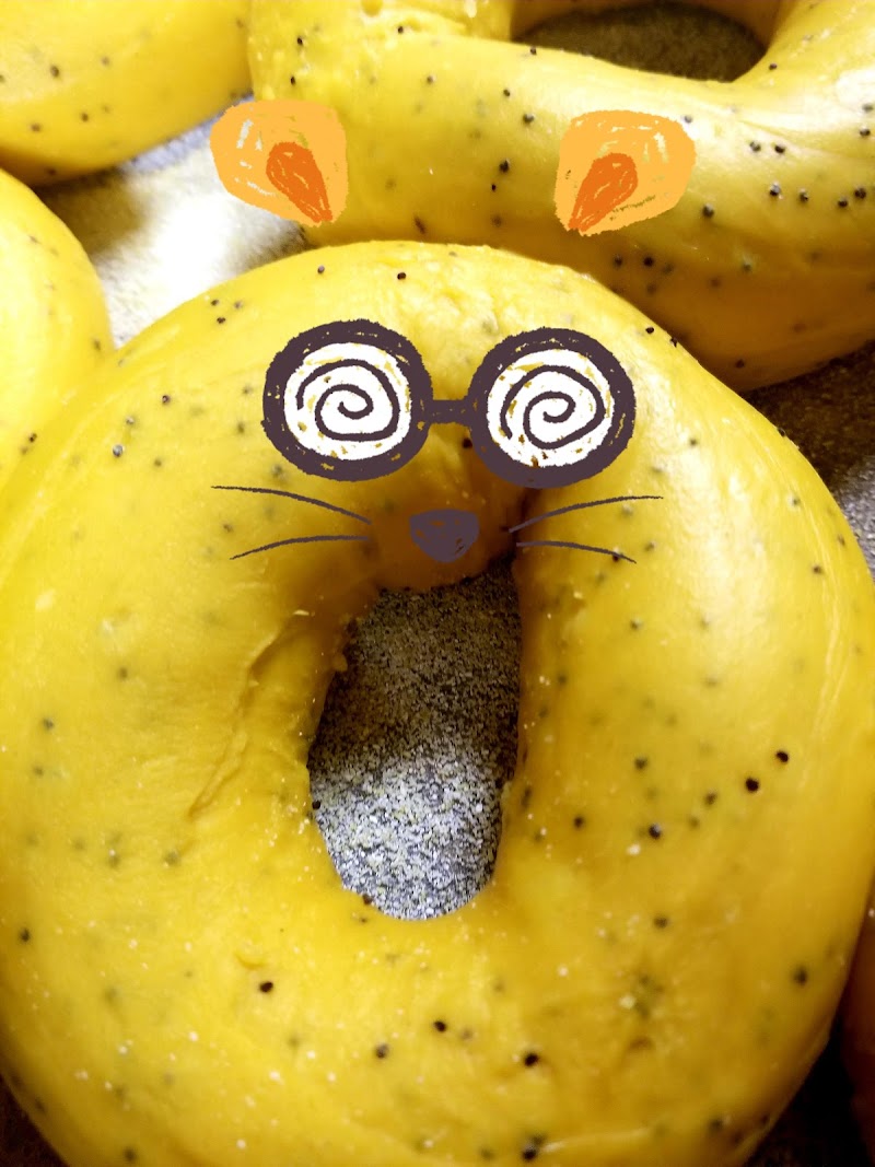 Magic Bagels Inc photo 2